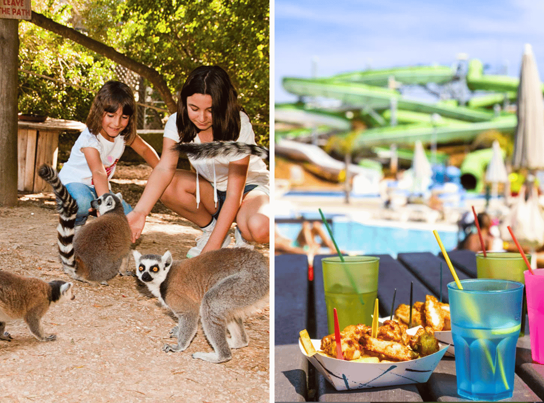zooamenities