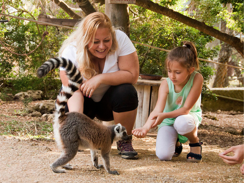 Les meilleures choses à faire à Minorque en 2026 : Visitez le zoo